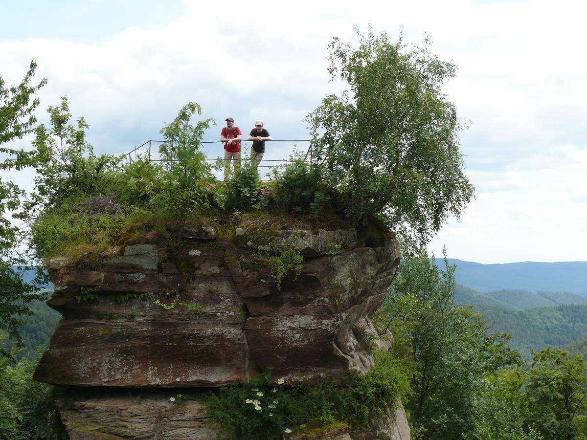 Отель Blick Zum Maimont Ludwigswinkel Экстерьер фото