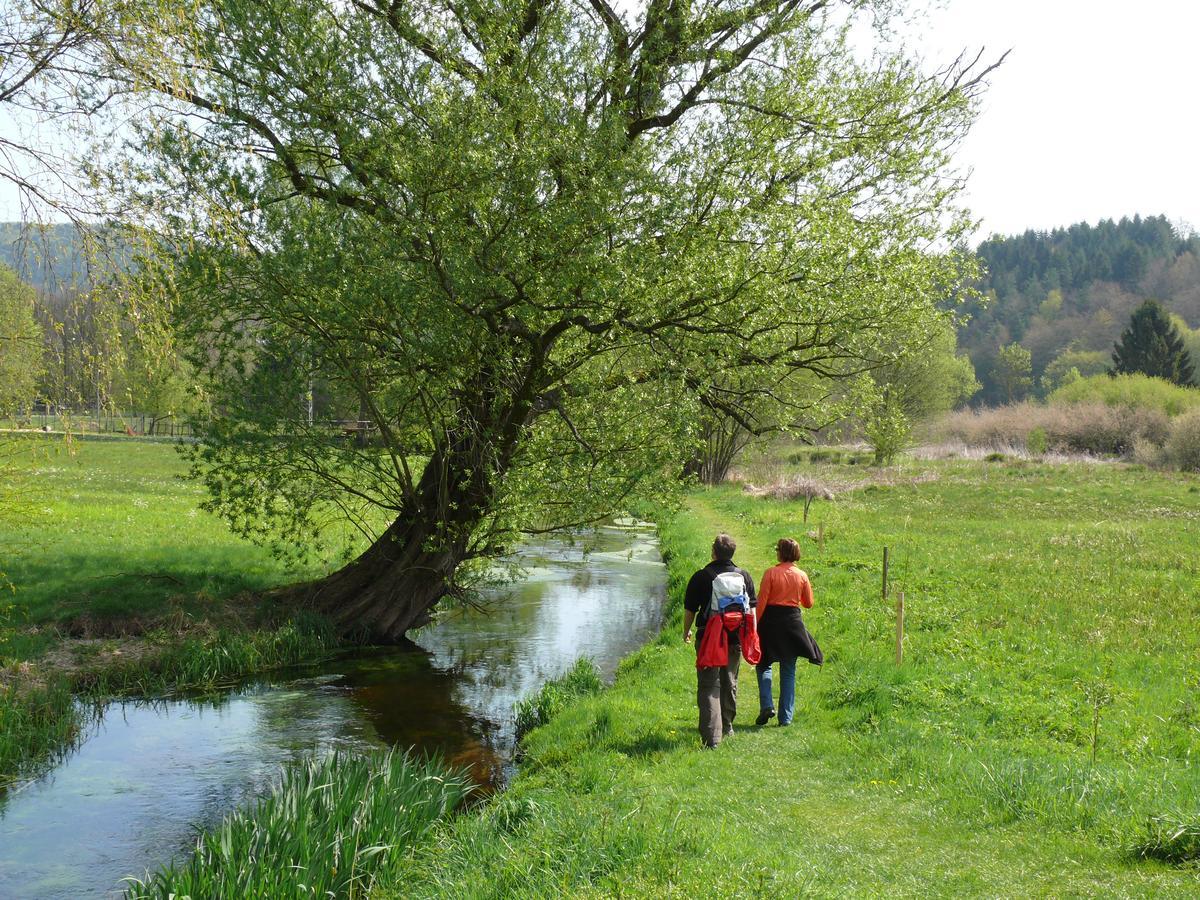 Отель Blick Zum Maimont Ludwigswinkel Экстерьер фото