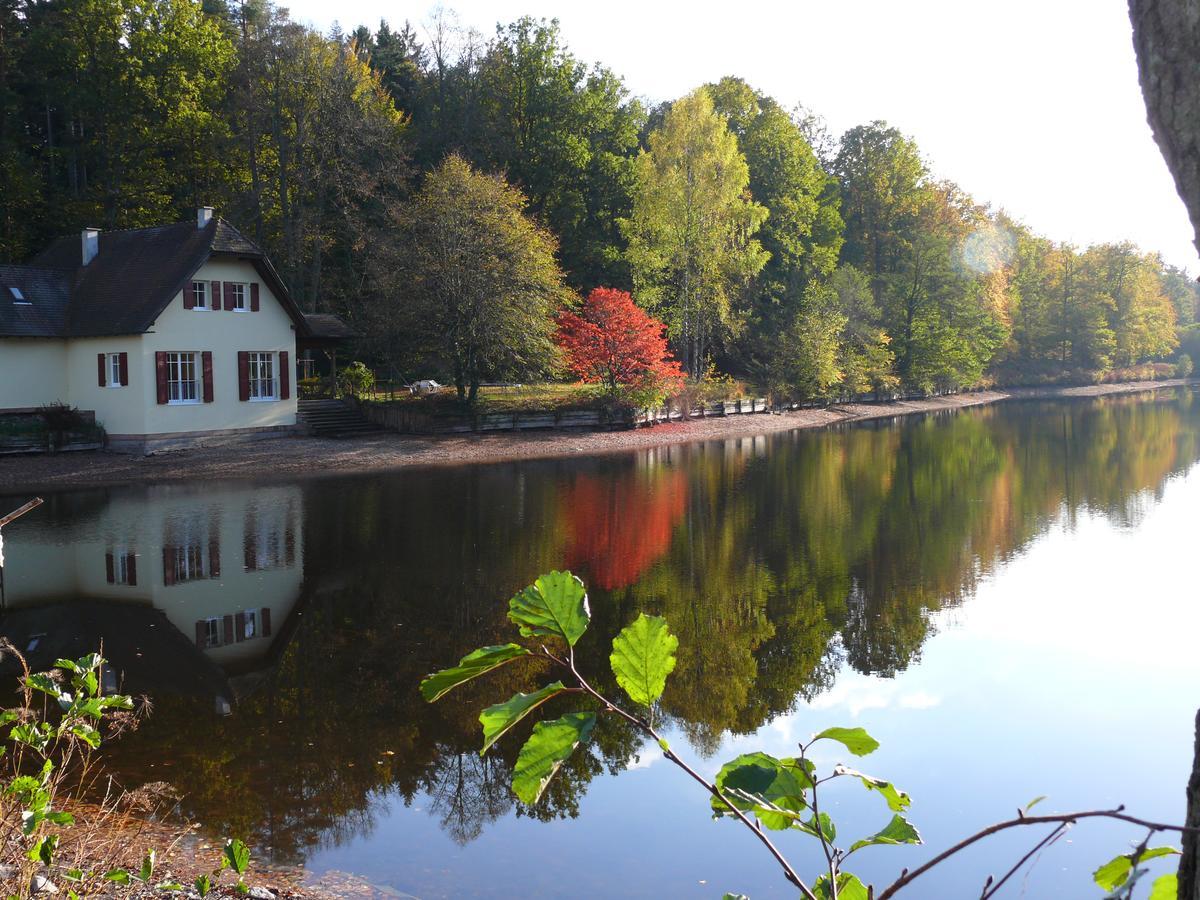 Отель Blick Zum Maimont Ludwigswinkel Экстерьер фото